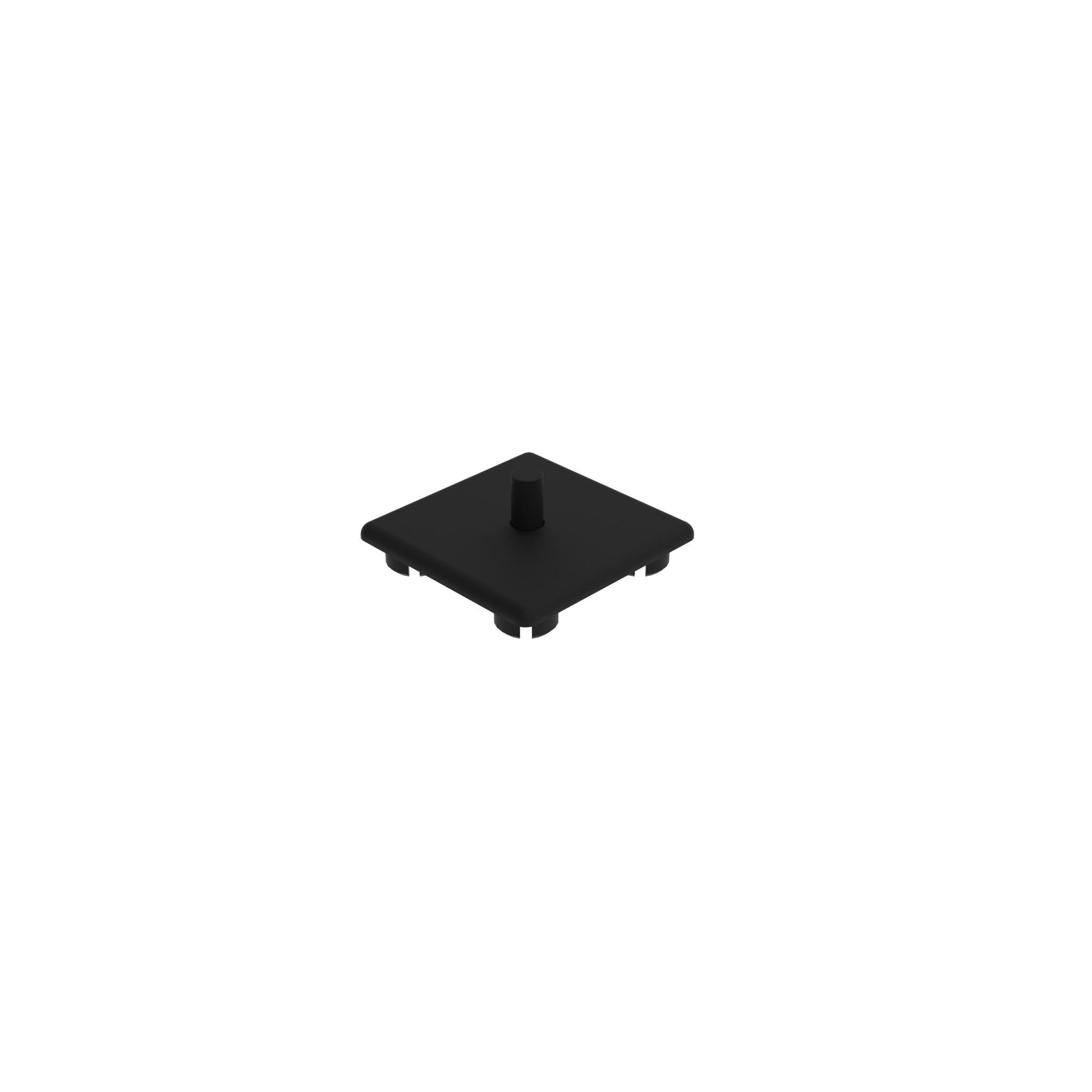 Cover Cap, with Locking Pin 091375 – product image