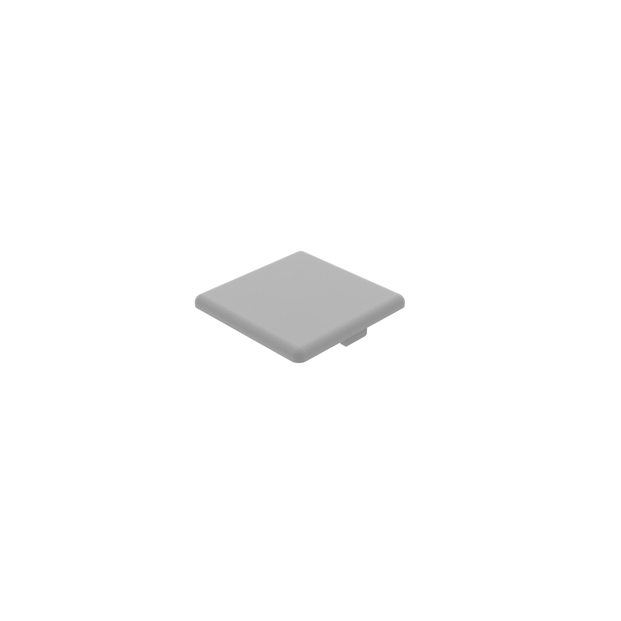 Cover Cap for 50 mm Modular Dimension 091028S04 – imagen del producto