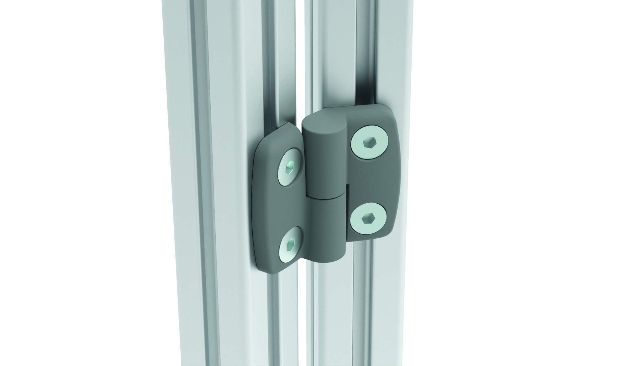 Plastic Hinges