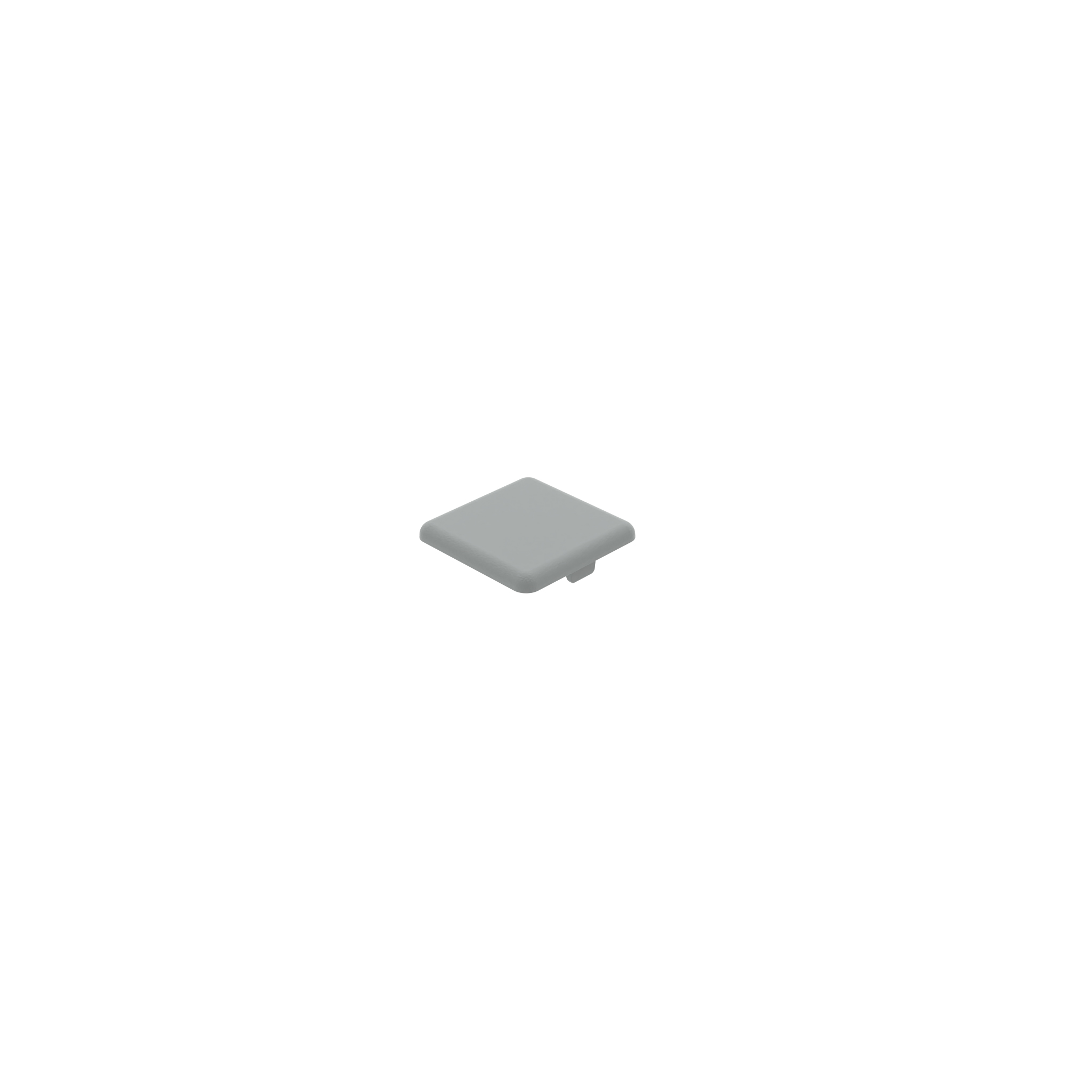 Cover Cap for 30 mm Modular Dimension 091184S03 – imagen del producto