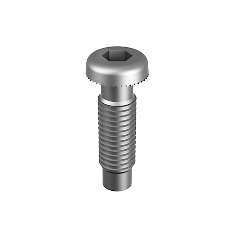 Self Tapping Screw