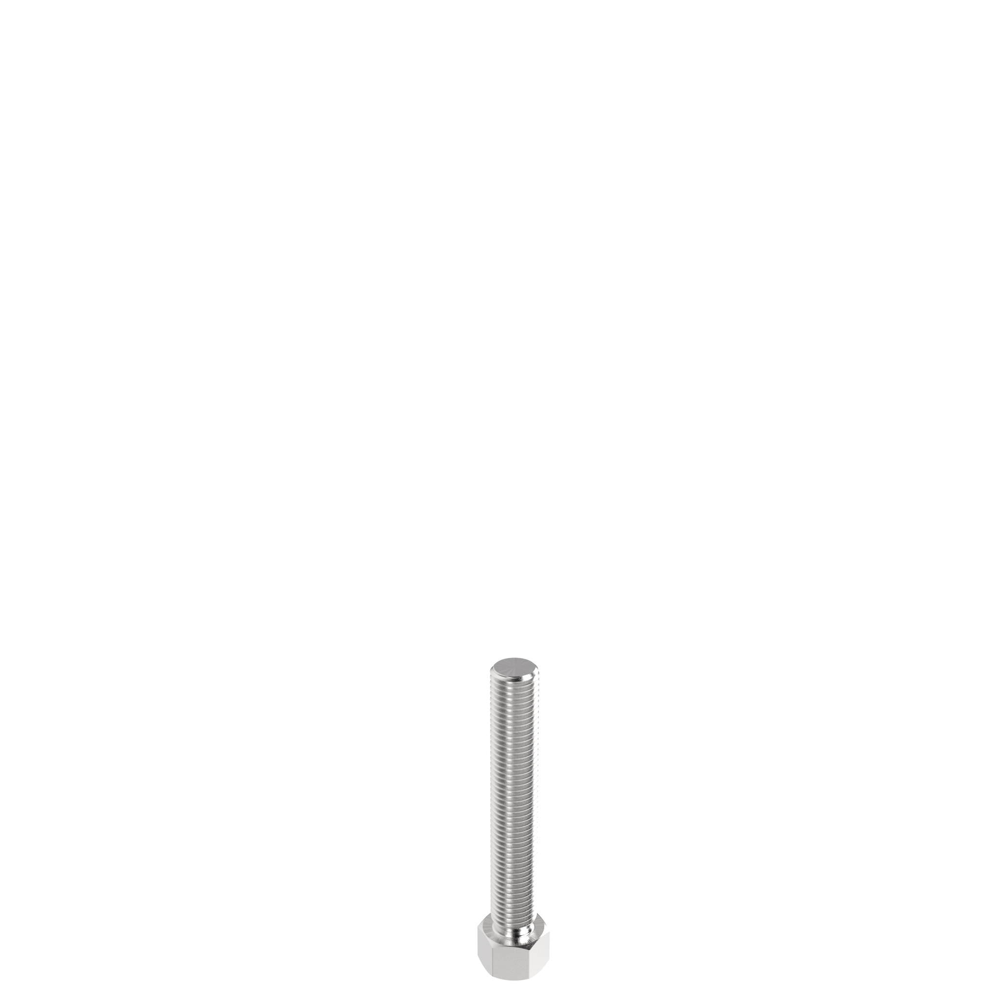 Threaded Rod SS Metric for Pivot Feet 098AM16100E – product image