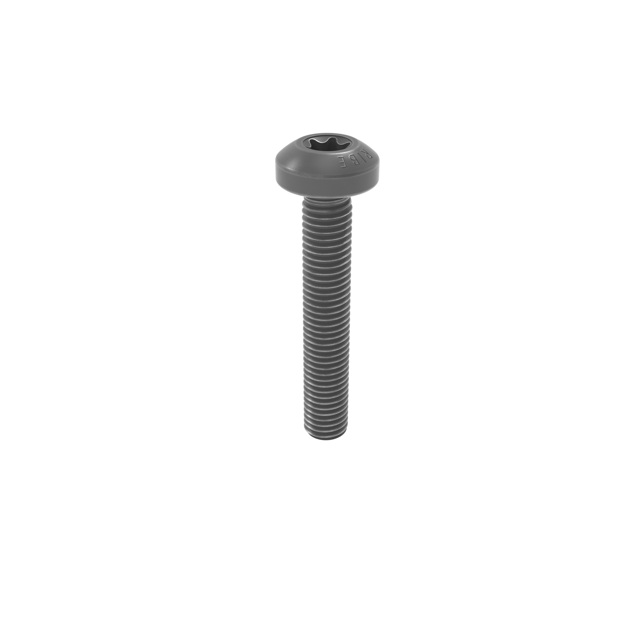 Vis Aluform RIBE® 097AS10060 – image du produit