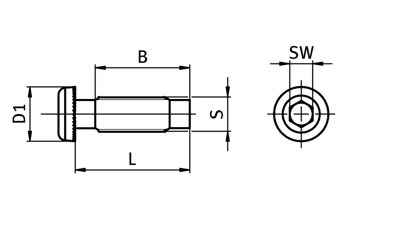 Self Tapping Screw