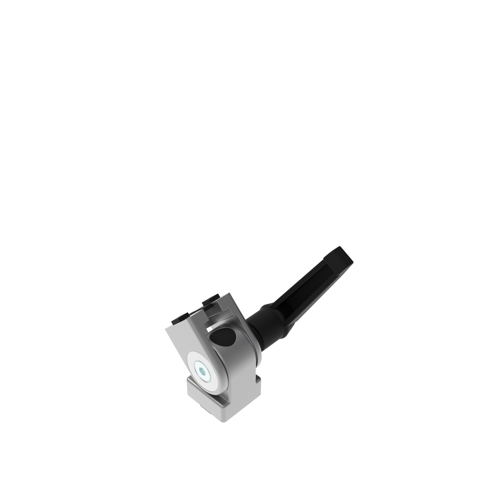 Pivot Joint B 20 with Locking Lever 093GABF20AN06 – product image