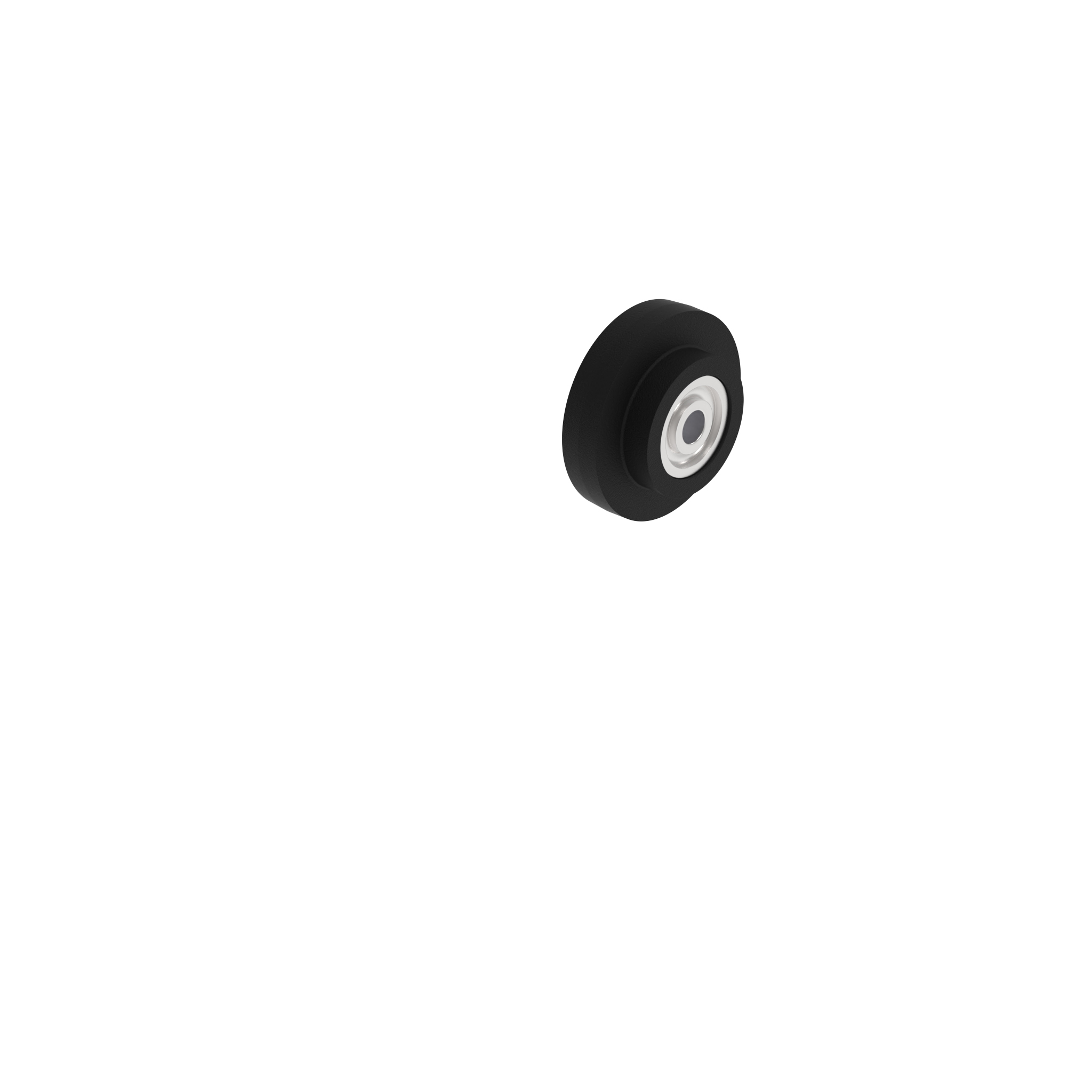 Galet Ø 39 093020 – image du produit