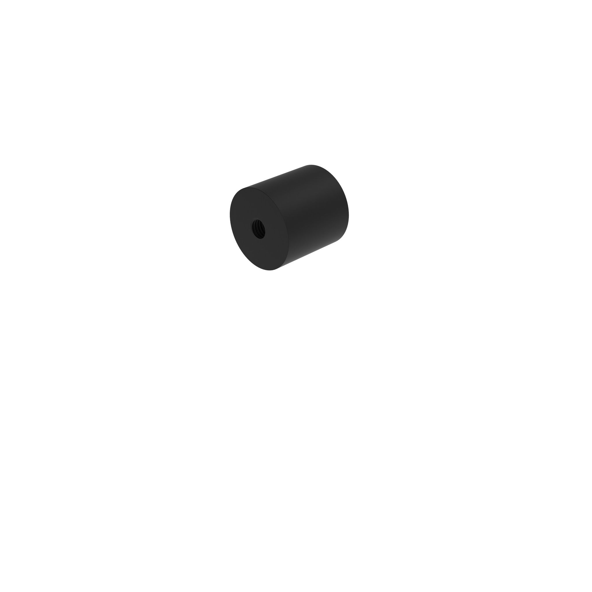 Butoir Cylindrique F 051DC553030FM08 – image du produit