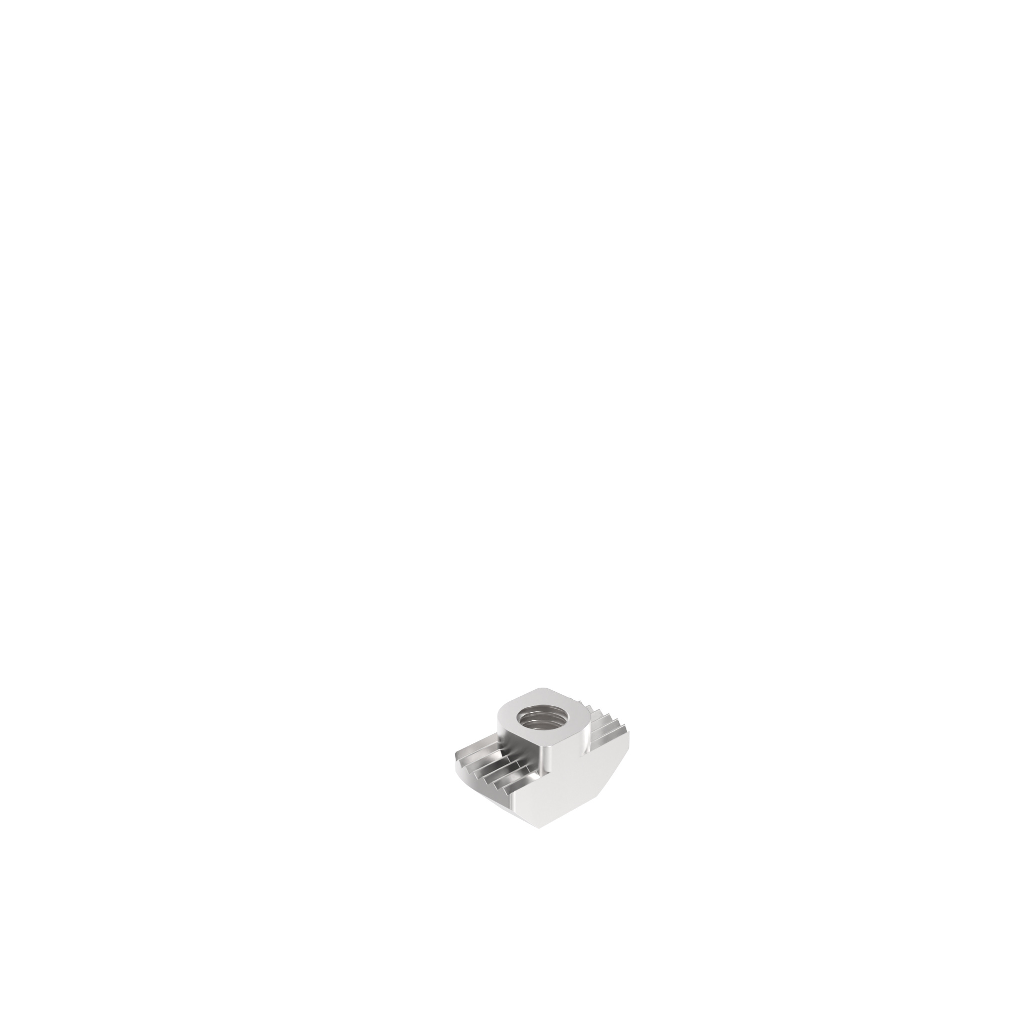 Hammer Nut Slot 10 096H10630E – product image