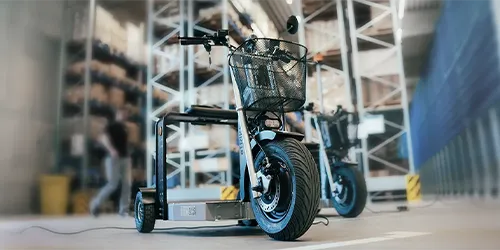 eTRIKE Platform Scooter