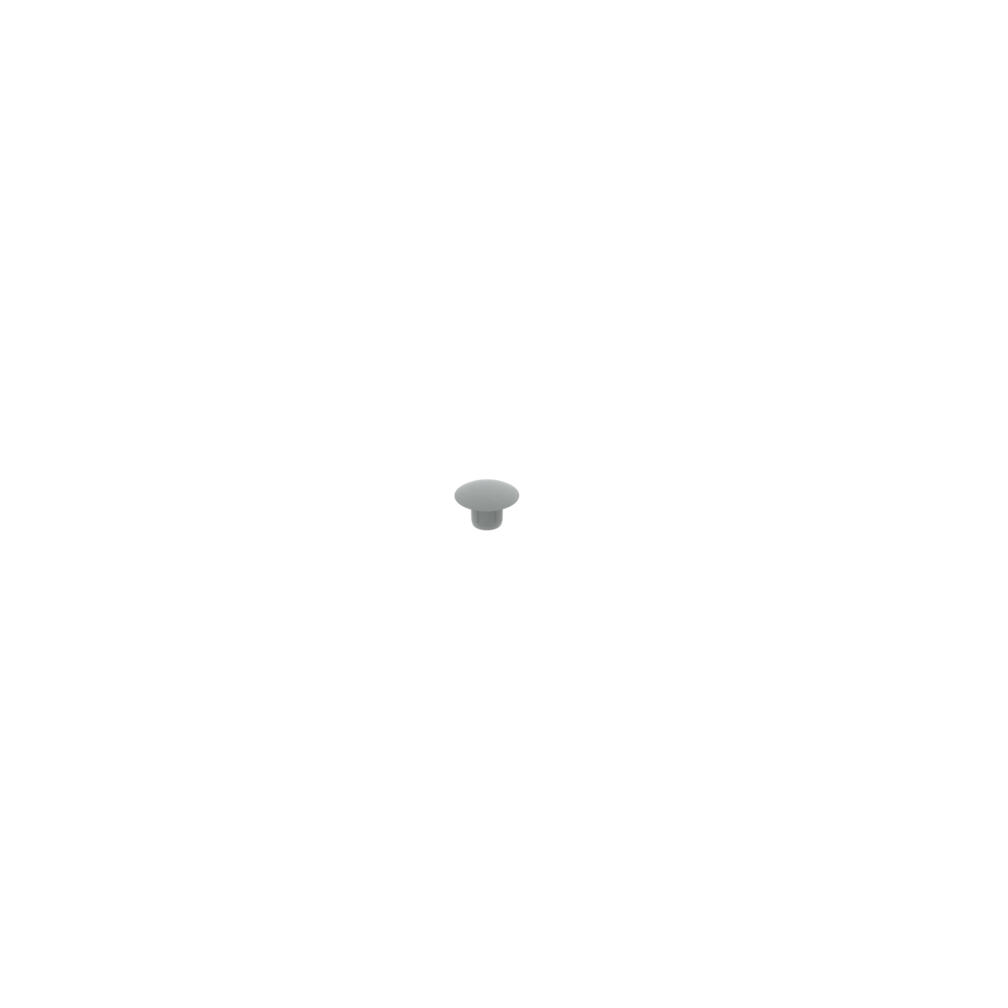 Cover Cap for Boreholes 091405S01 – product image