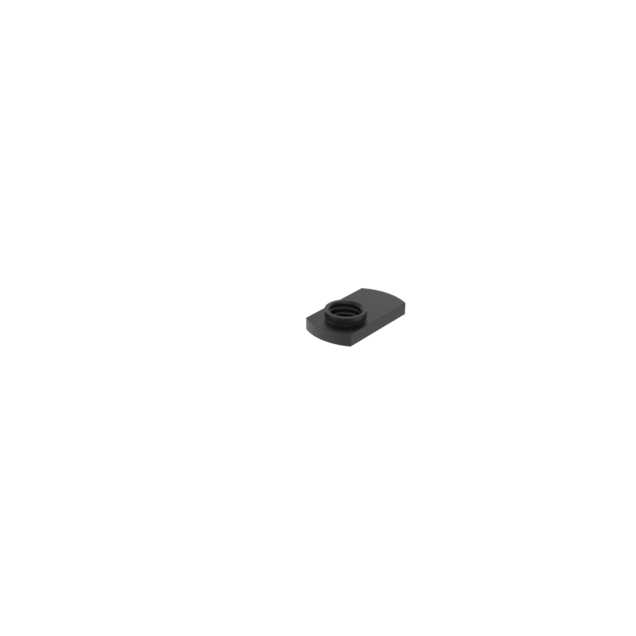 ECO T-nut Style C Eccentric 096E20M5 – product image