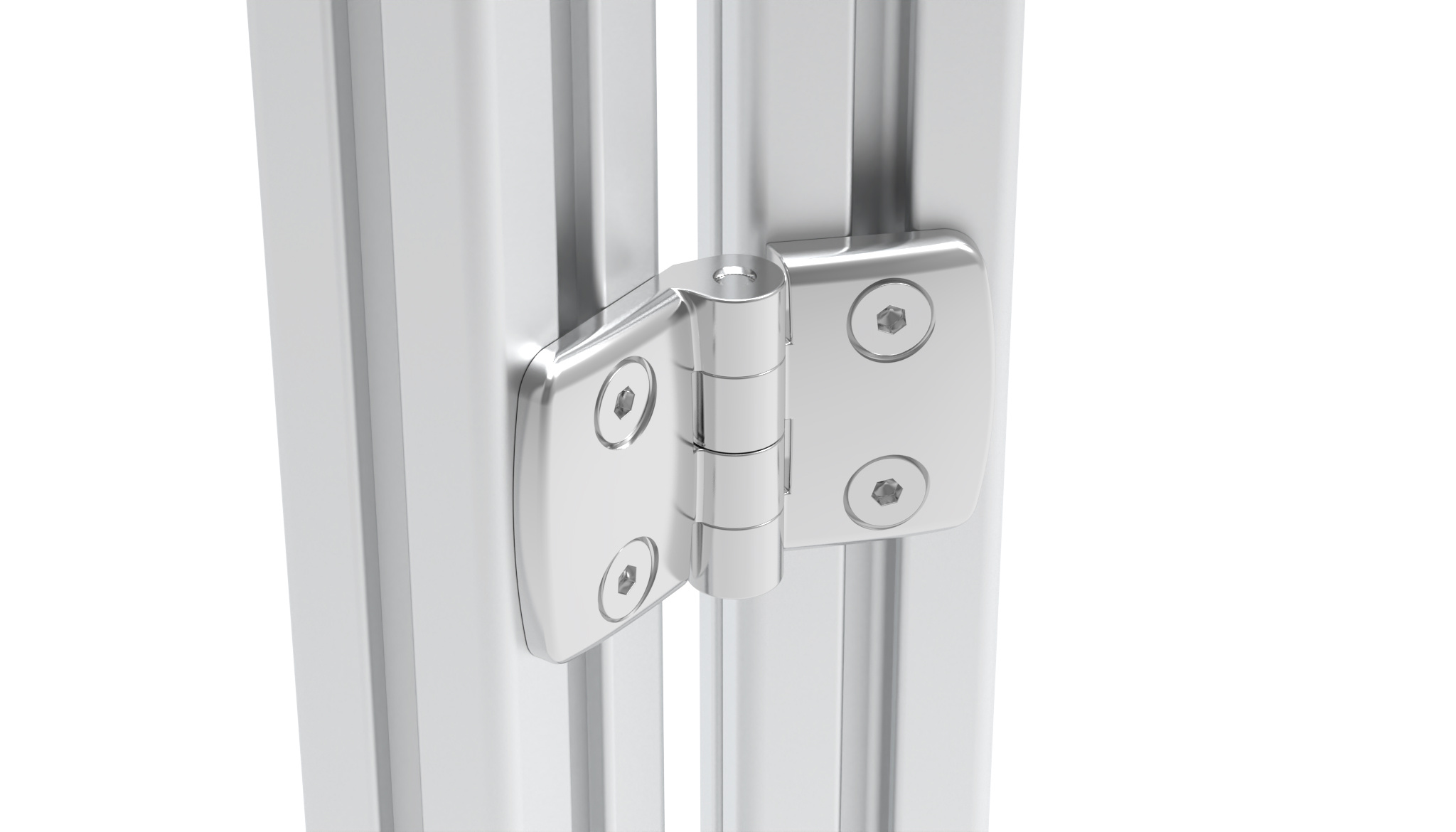Stainless Steel Hinges