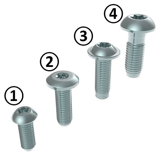 Self Forming Screw – imagen del producto