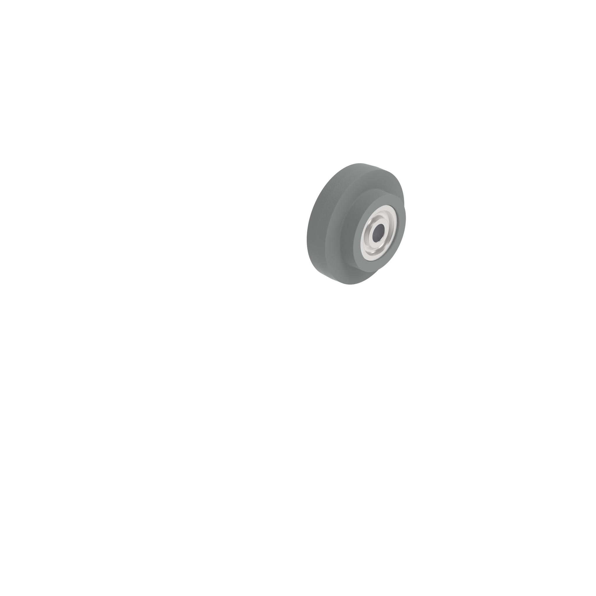 Galet Ø 39 093020S03 – image du produit