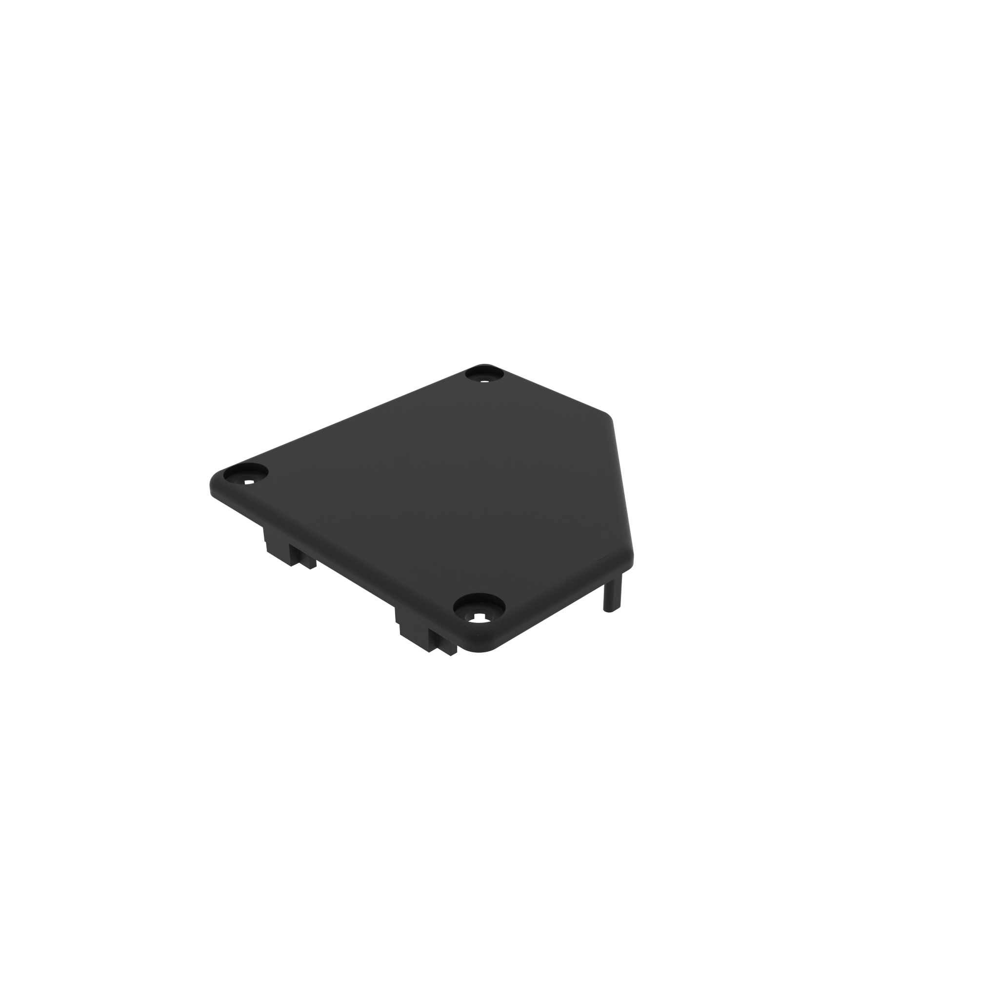Cover Cap for Conduit Profile 091248R – imagen del producto