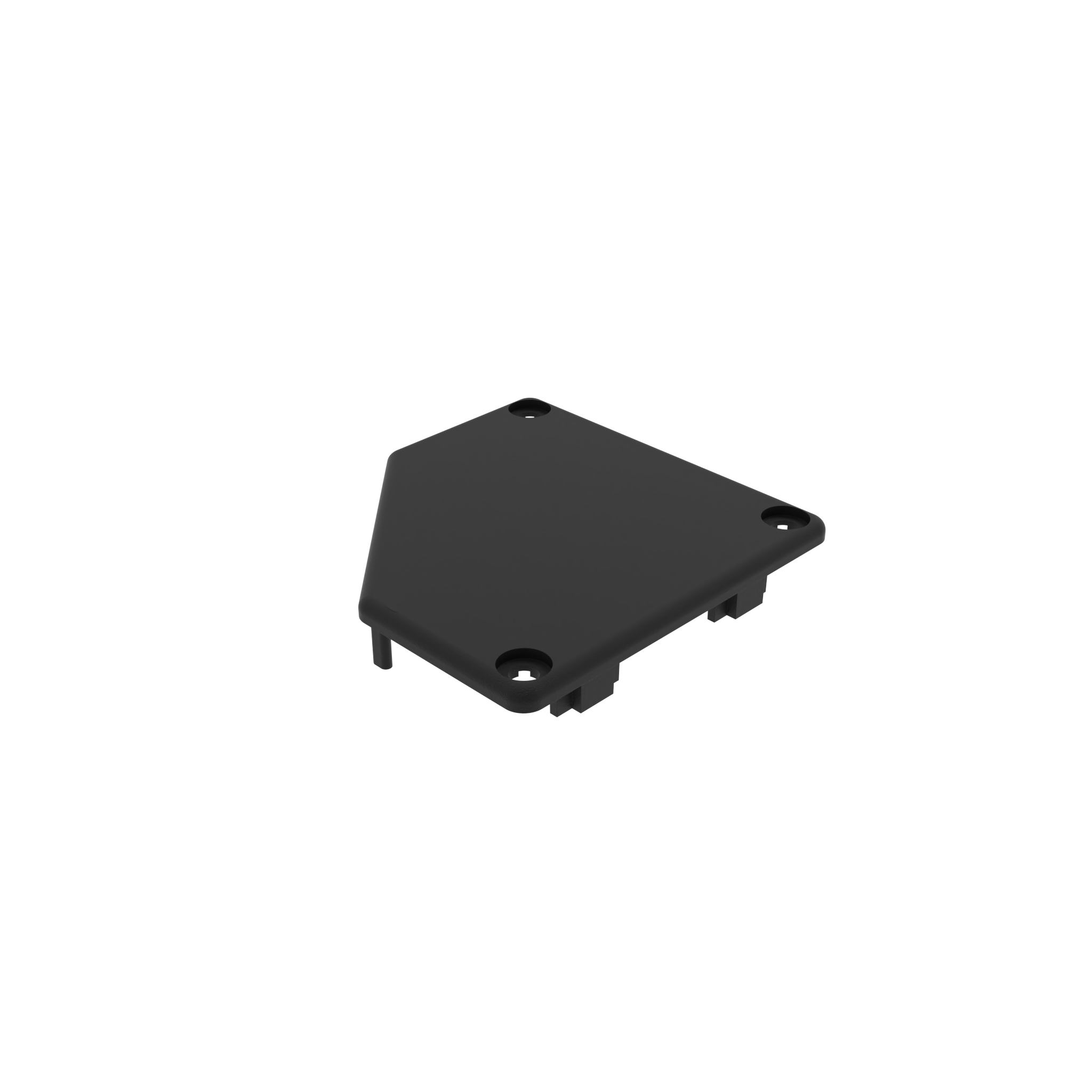 Cover Cap for Conduit Profile 091248L – imagen del producto